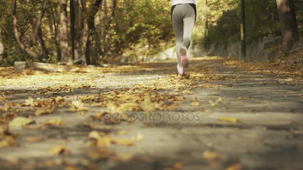 Nahaufnahme der Füße einer Läuferin, die im Herbstlaub läuft. Fitness und gesunder Lebensstil. — Stockvideo