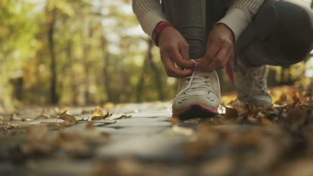 Young sporty woman preparing to run in a beautiful autumn forest, wellness concept. — Stock Video