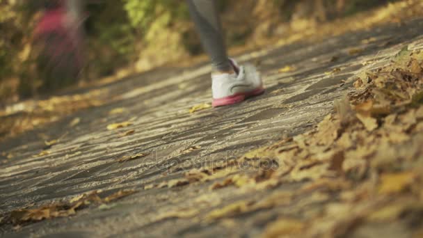 Крупним планом ноги бігуна, що біжить осіннім листям. Тренувальні вправи — стокове відео