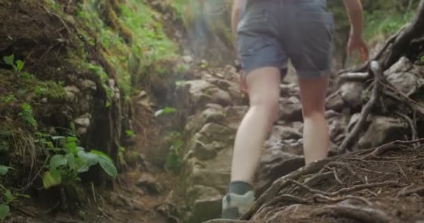 Женщины-туристы карабкаются по горной тропе — стоковое видео