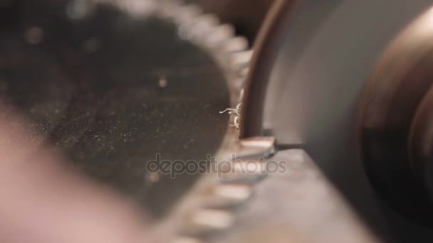 Lavoratore affila una lama circolare sega - close up shot — Video Stock