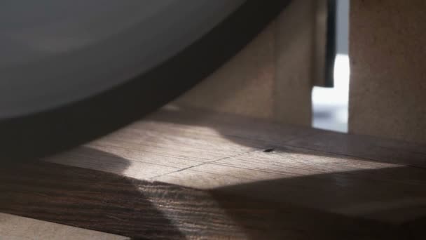 Ειδικευμένος τεχνίτης κόβοντας ένα κομμάτι από ξύλο με ένα κυκλικό πριόνι - σουτ μακροεντολή — Αρχείο Βίντεο