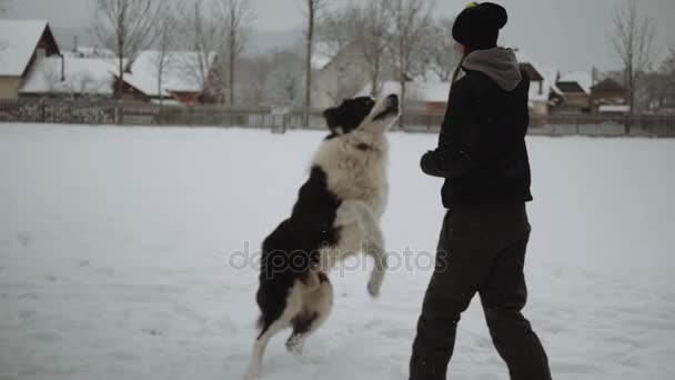 Девушка играет со своими собаками с мячом в зимнем пейзаже — стоковое видео
