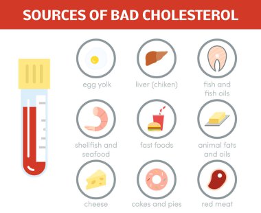 Sources of good cholesterol clipart