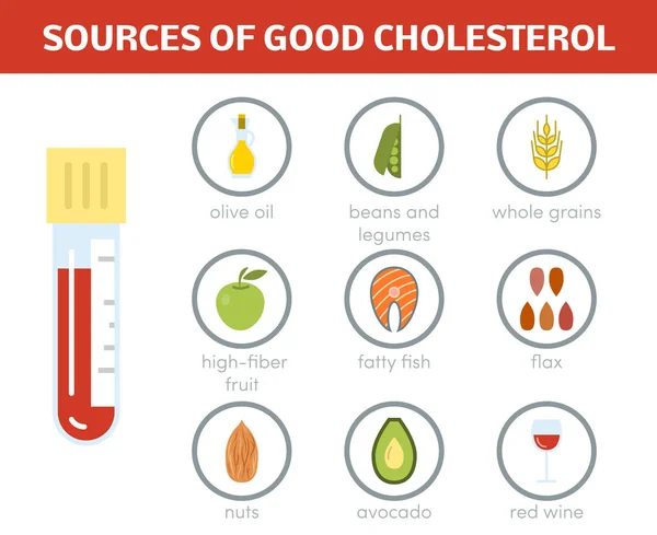 Quellen guten Cholesterins — Stockvektor