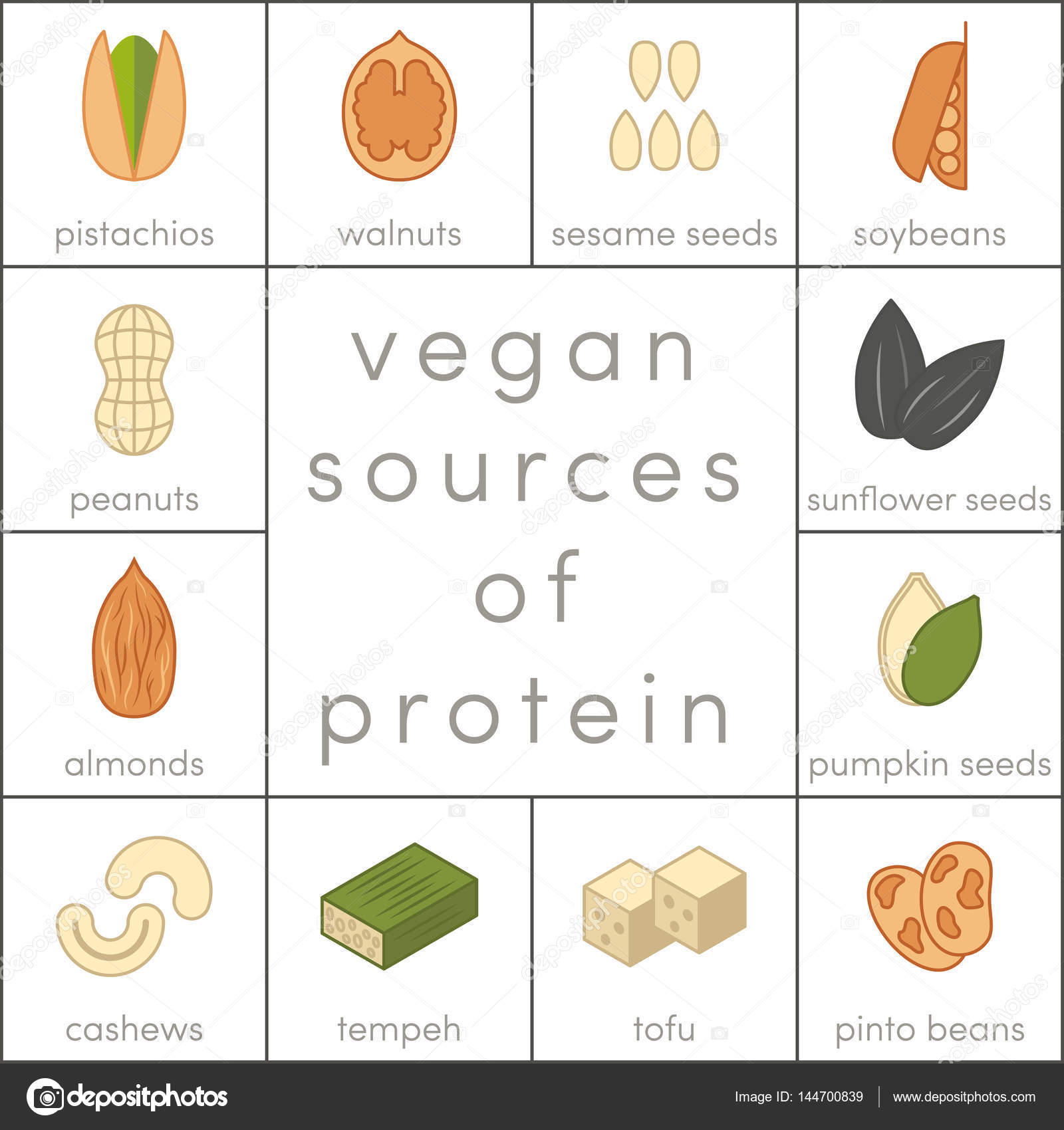 Vegan sources of protein — Stock Vector © marina_ua #144700839