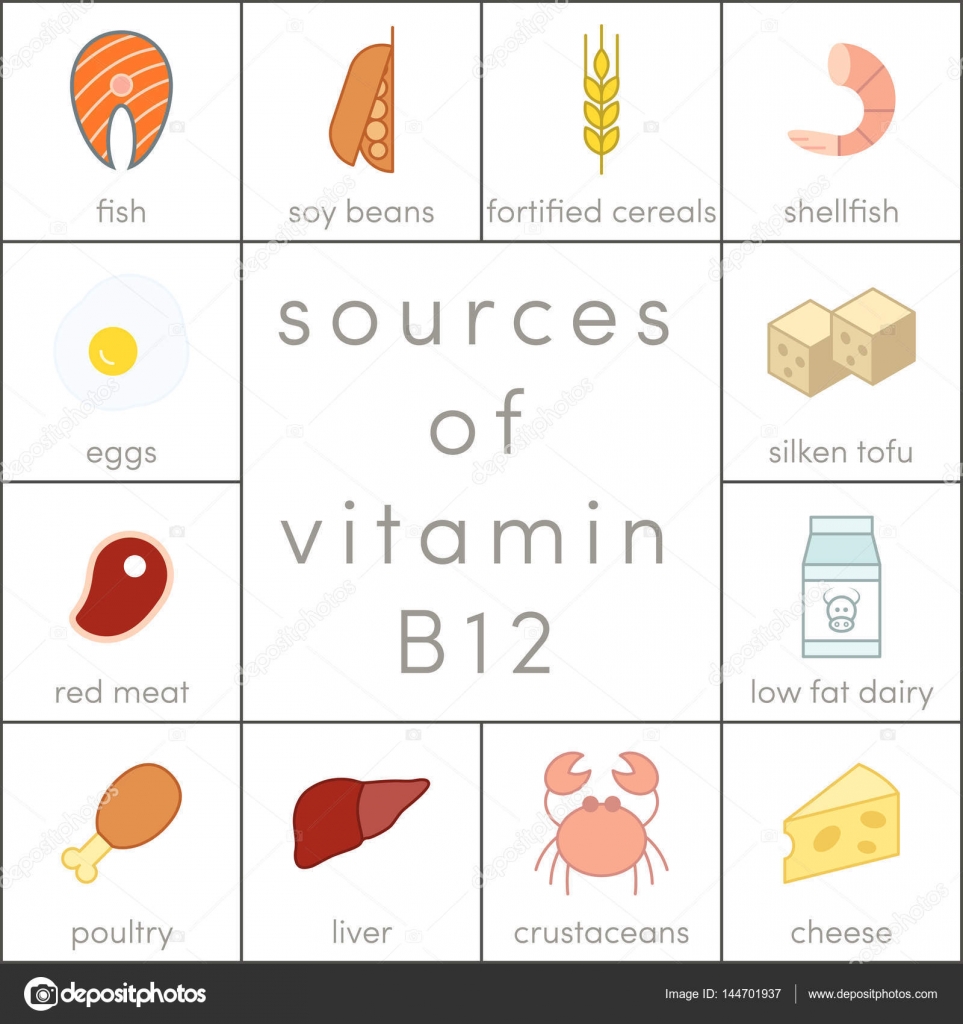 Vitamin B12 Sources Stock Vector Image By C Marina Ua 144701937