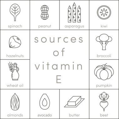 E vitamini kaynakları
