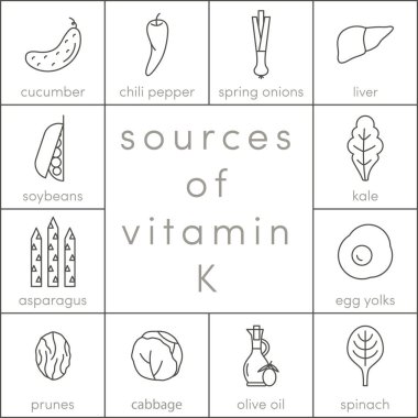 K vitamini kaynakları