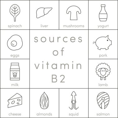 B2 vitamini kaynakları