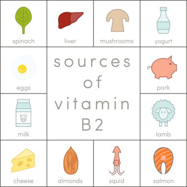 B2 vitamini kaynakları