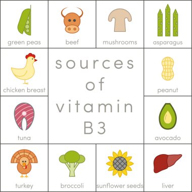 Vitamin B3 kaynakları
