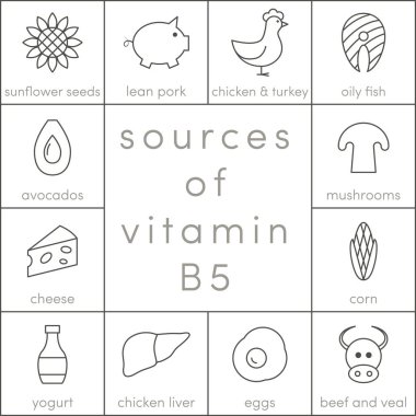 Vitamin B5 kaynakları