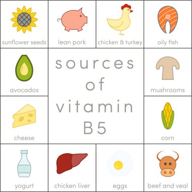 Vitamin B5 kaynakları