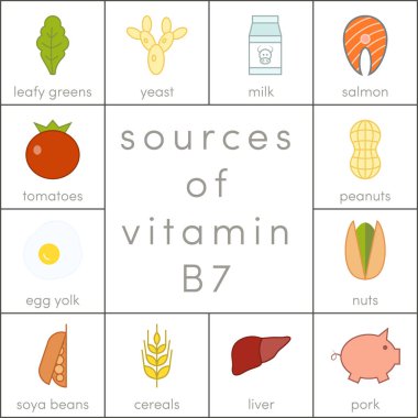 Vitamin B7 kaynakları