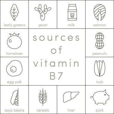 Vitamin B7 kaynakları