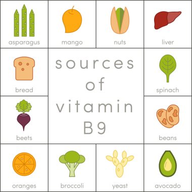 Vitamin B9 kaynakları