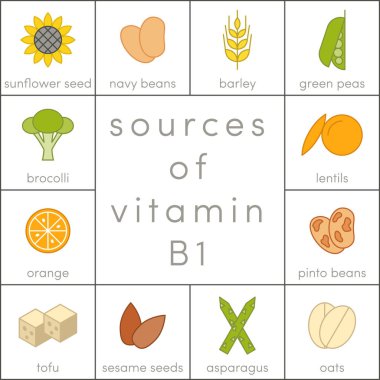 B1 vitamini kaynakları