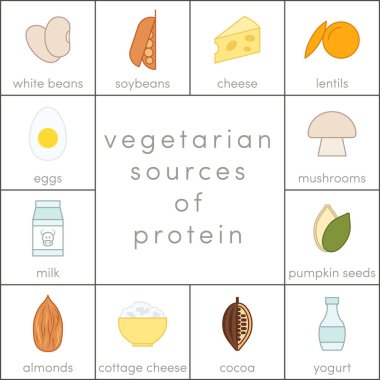 Vejetaryen protein kaynaklarının