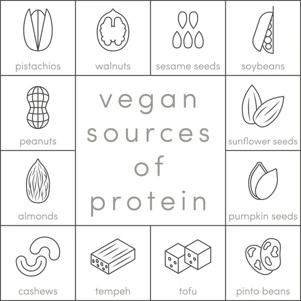 Vegan protein kaynaklarının