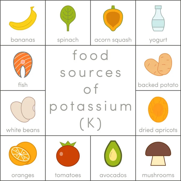 Food sources of potassium — Stock Vector