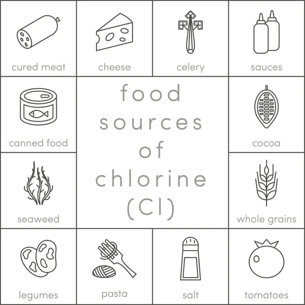 Fuentes alimentarias de cloro — Vector de stock