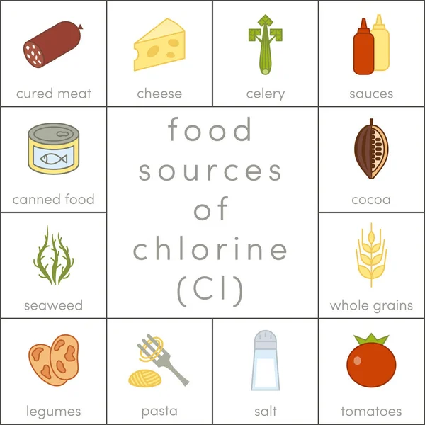 Voedselbronnen van chloor — Stockvector