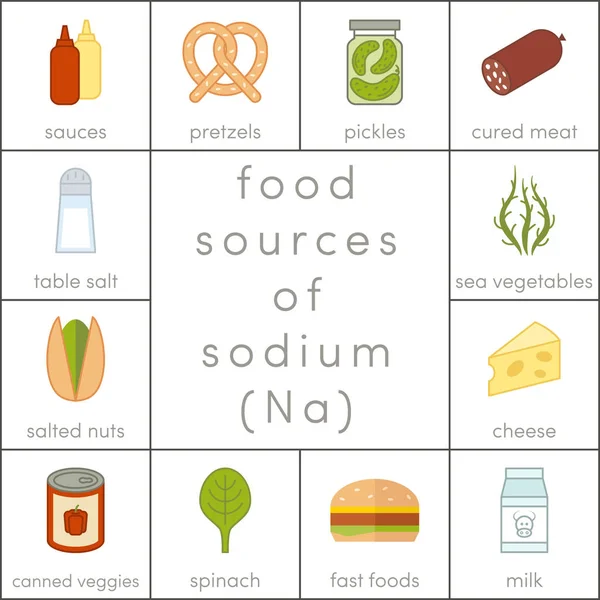Food sources of sodium — Stock Vector