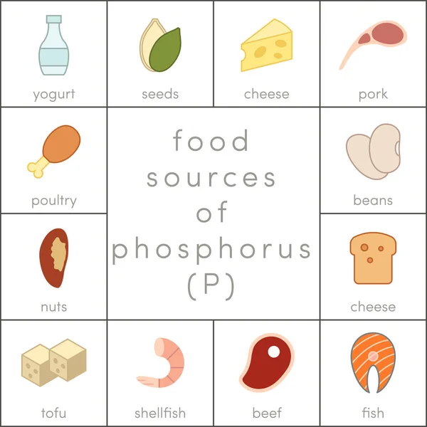 Food sources of phosphorus — Stock Vector