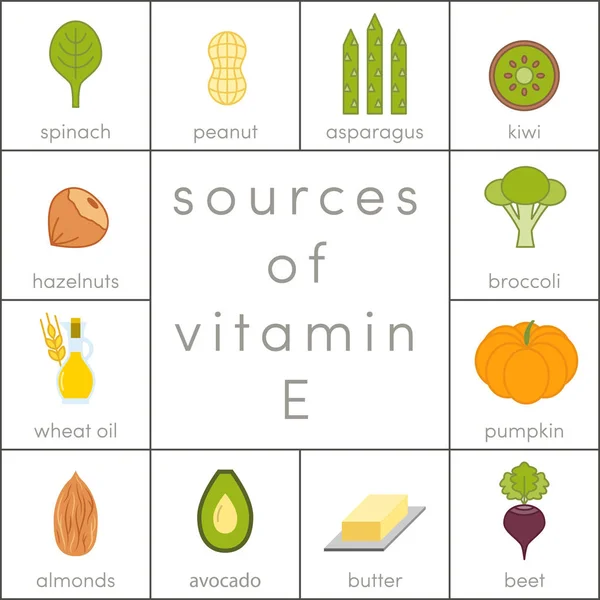 Bronnen van vitamine E — Stockvector