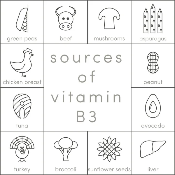 Fontes de vitamina B3 —  Vetores de Stock