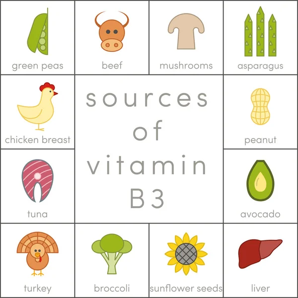 Fonti di vitamina B3 — Vettoriale Stock