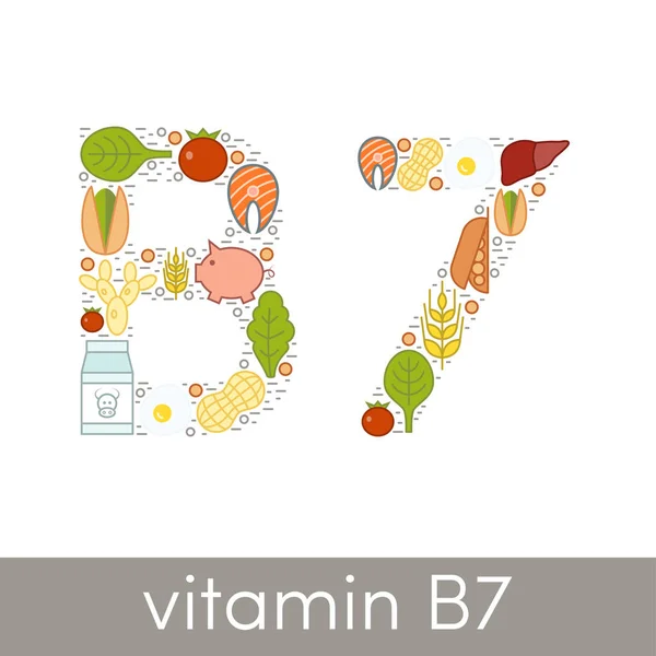 Vitamín B7 zdroje — Stockový vektor