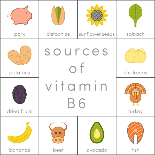 Fuentes de vitamina B6 — Vector de stock