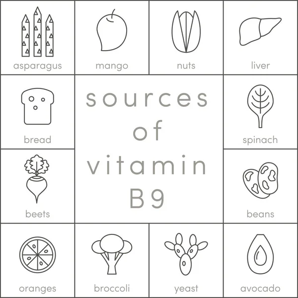 Vitamin B9 kaynakları — Stok Vektör