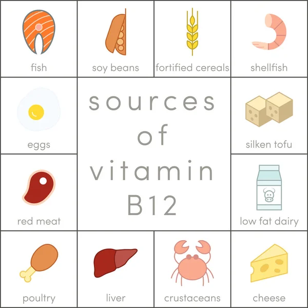 Fontes de vitamina B12 — Vetor de Stock