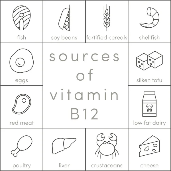 维生素 B12 的来源 — 图库矢量图片