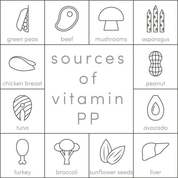 Fontes de vitamina PP —  Vetores de Stock