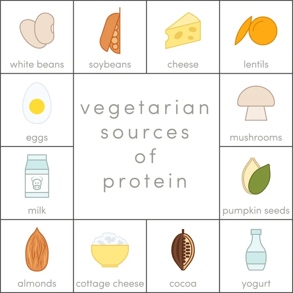 Fuentes vegetarianas de proteínas — Vector de stock