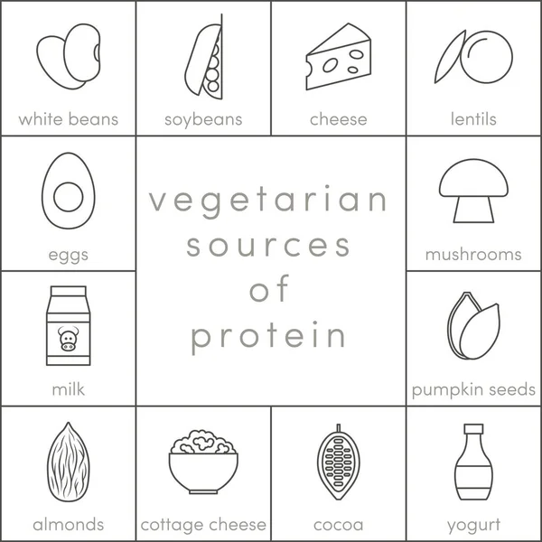 Vegetarian sources of protein — Stock Vector