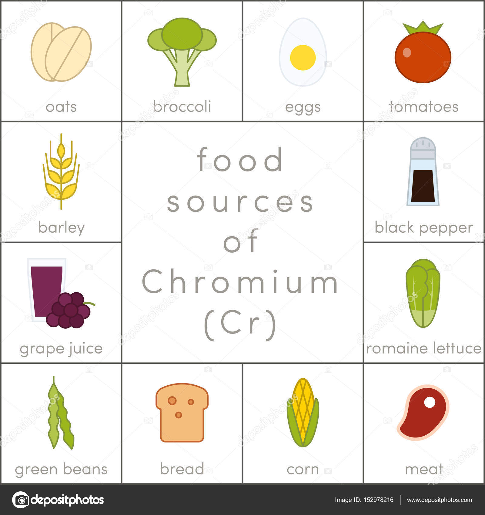 food-sources-of-chromium-stock-vector-marina-ua-152978216