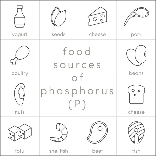 Sources alimentaires de phosphore — Image vectorielle