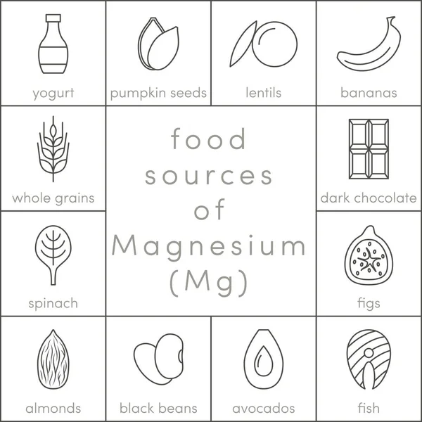 Nahrungsquellen von Magnesium — Stockvektor