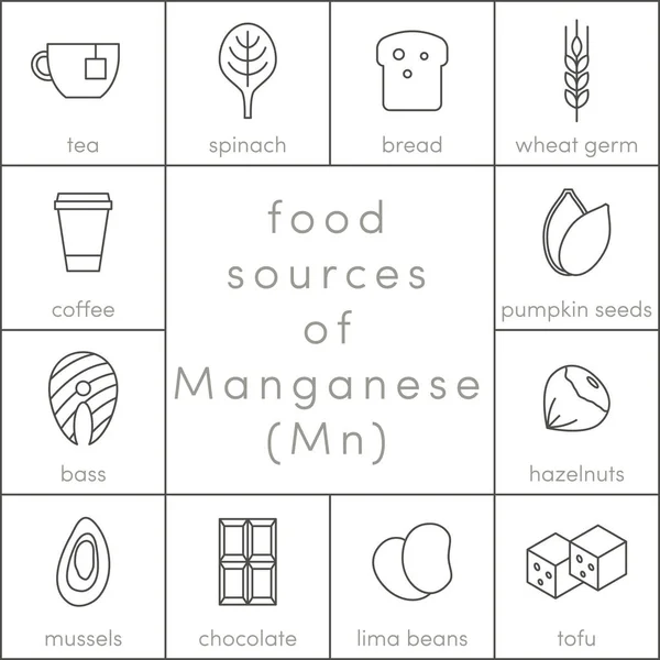 Sources alimentaires de manganèse — Image vectorielle