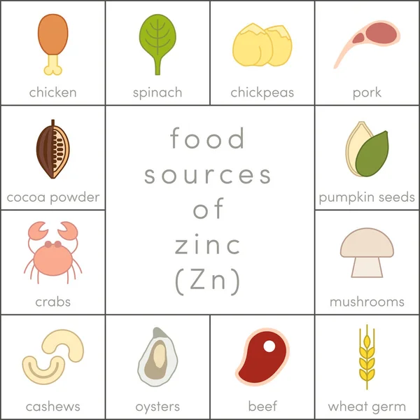 Food sources of zinc — Stock Vector