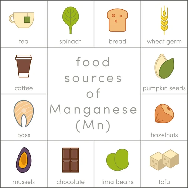 Sources alimentaires de manganèse — Image vectorielle