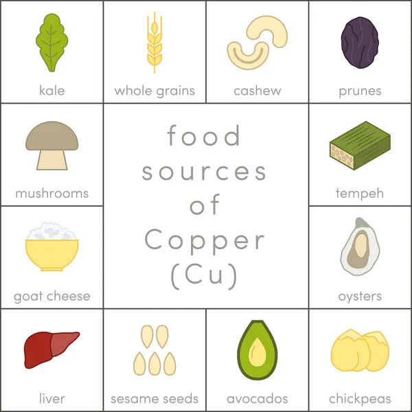 Fontes alimentares de cobre —  Vetores de Stock