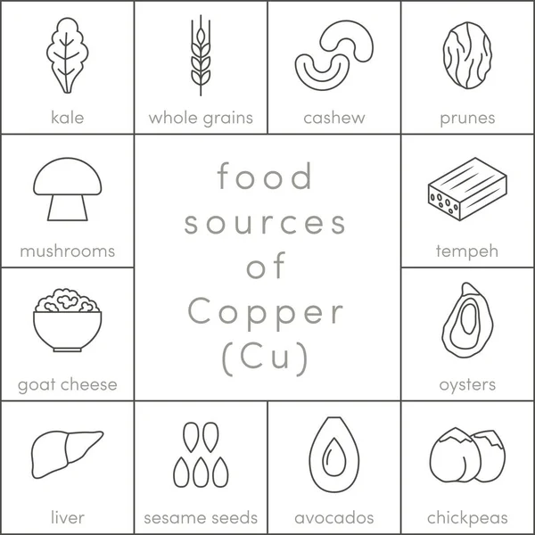 Fuentes alimentarias de cobre — Archivo Imágenes Vectoriales