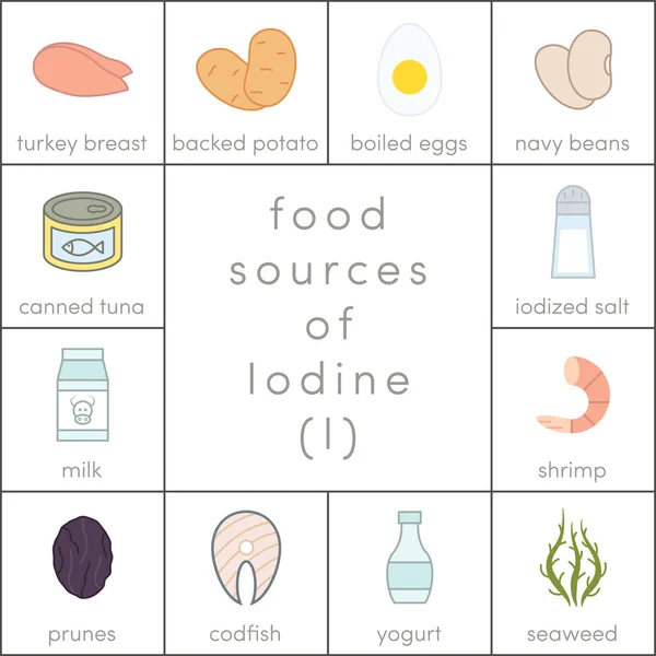 Food sources of iodine — Stock Vector