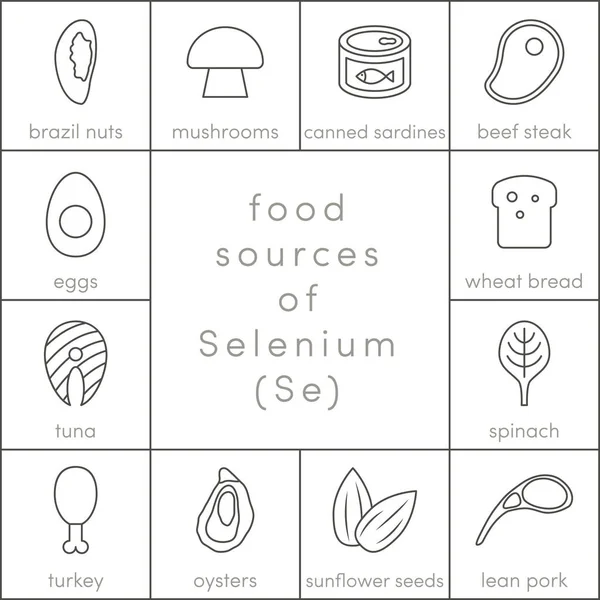 Sources alimentaires de sélénium — Image vectorielle